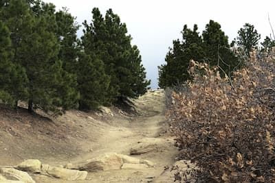 Ute Valley Park trail