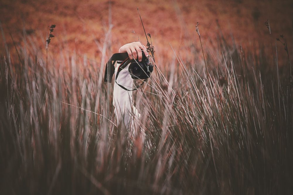 Person taking a photo of grasses